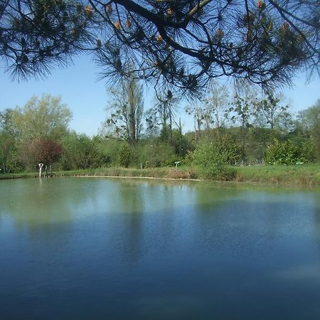 Вилла Gite Le Chardon Fleuri Teuillac Экстерьер фото