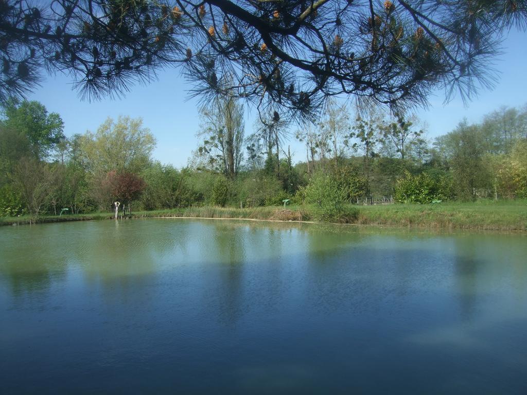 Вилла Gite Le Chardon Fleuri Teuillac Экстерьер фото